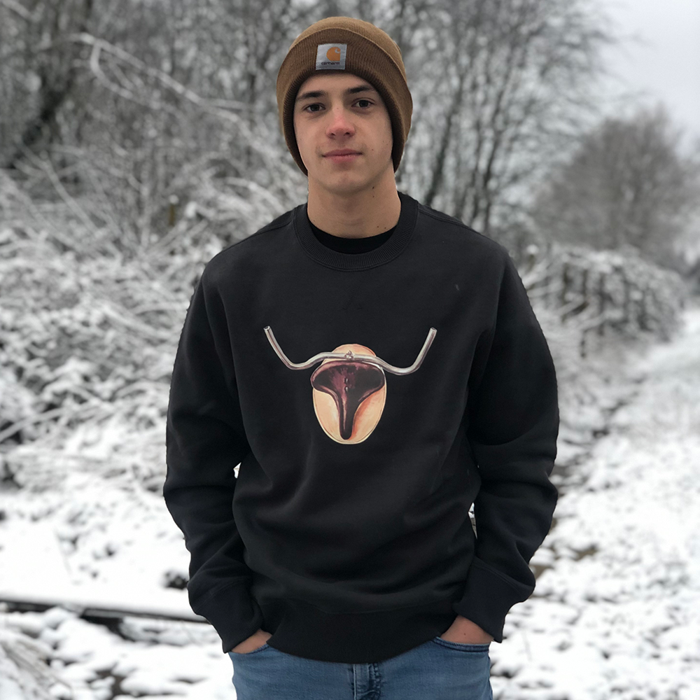 Steer Trophy sweater